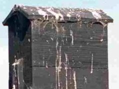 2 casas da família San Ramon prontas para morar; Apenas morcegos, por favor