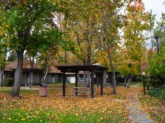 Outra cidade da Bay Area está proibindo sopradores de folhas movidos a gás. Mas nem todo mundo está pronto para o interruptor elétrico.