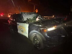 Policial ferido após carro CHP viajando pela Rodovia 17 esmagar árvore durante tempestade – The Mercury News