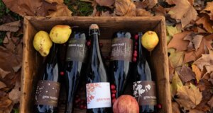 Melhore a sua mesa de Ação de Graças com os melhores vinhos locais do condado de Sonoma e de outros lugares