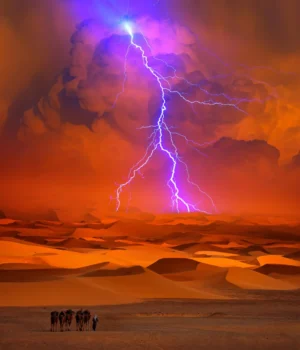 camel-caravan-sand-storm-with-lightning-sahara-desert.webp.webp