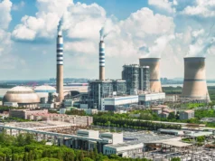 O lenço de papel de bambu pode não ser tão ecológico quanto você pensa