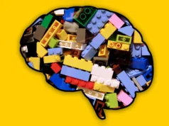 Cientistas descobriram os blocos de aprendizagem ocultos do cérebro