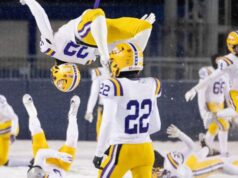 Resultados ao vivo de Avon x Walsh Jesuit, atualizações e destaques do jogo da semifinal estadual OHSAA D-II