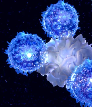 dendritic-cell-presenting-antigen-to-t-cells-immune-aging.webp.webp