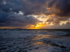 Cientistas veem oceanos costeiros se acidificando surpreendentemente rápido