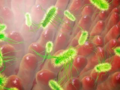 Os cientistas ficam surpresos ao ver que a E. coli se espalha tão rápido quanto a gripe suína