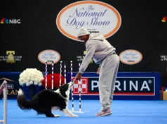 O guarda do 76ers, Tyrese Maxey, leva seus treinadores ao National Dog Show