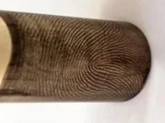 Cientistas alcançam o ‘Santo Graal’ forense ao recuperar impressões digitais de balas disparadas