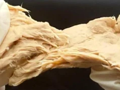 Este fungo projetado reduz emissões e tem gosto de carne