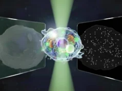 O “Grande Microscópio Unificado” revela os mundos micro e nano em uma única visão