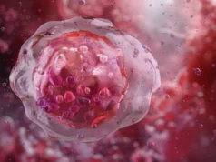 A terapia tripla induz um ataque imunológico mais forte na leucemia