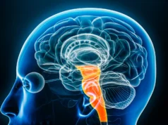 Descoberta revolucionária do cérebro revela uma maneira natural de aliviar a dor