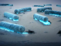 Bactérias comedoras de plástico descobertas nos oceanos