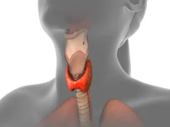 Rastreamento simples da tireoide durante a gravidez pode reduzir o risco de autismo