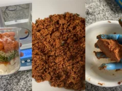 Os girassóis podem ser o seu futuro "carne vegetariana"