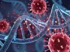 Vírus antigos escondidos dentro de bactérias podem ajudar a derrotar infecções modernas