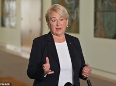 Os australianos poderiam obter o direito legal de trabalhar em casa enquanto os Verdes buscam revisar a Lei do Trabalho Justo