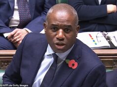 O Ministério da Justiça de Calamity Lamy gastou £ 3,6 milhões em sistemas de vídeo defeituosos