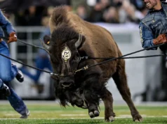 Dia Nacional de Assinatura de 2025: Colby Johnson é um fã