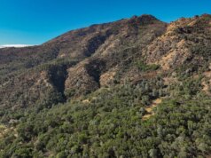 A doação salva parte do Monte Diablo de desenvolvimento futuro – The Mercury News