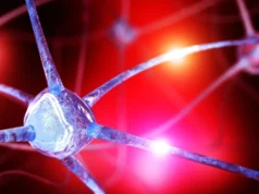 Cientistas descobriram uma queda oculta de nutrientes cerebrais que pode exacerbar a ansiedade