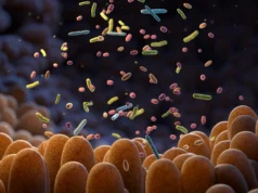 Seu intestino está ficando tóxico? Cientistas revelam os efeitos ocultos dos produtos químicos do dia a dia