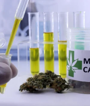 medical-cannabis-testing.webp.webp