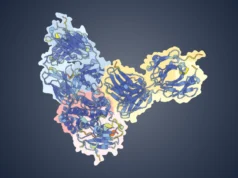 IA encontra uma vulnerabilidade surpreendente à varíola dos macacos que pode reescrever vacinas