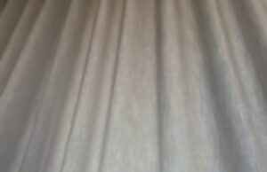 O desprezo do Dia da Austrália provoca indignação quando o político é criticado: ‘Bastante horrível’