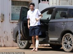 O único adolescente sobrevivente de uma suposta onda de triplos assassinatos teme que o suposto assassino retorne para “terminar o trabalho”, enquanto sua mãe aterrorizada patrulha a casa da família com um taco de beisebol.