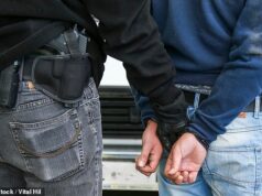 O britânico, de 21 anos, é acusado de incentivar o suicídio de um homem que tirou a própria vida na América