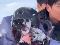 O momento em que um turista esquiador ficou gravemente ferido em um ataque de leopardo da neve enquanto tentava tirar uma selfie com o animal raro