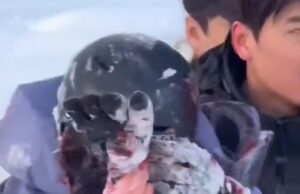 O momento em que um turista esquiador ficou gravemente ferido em um ataque de leopardo da neve enquanto tentava tirar uma selfie com o animal raro