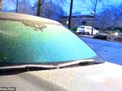 A tentativa do jornalista de TV de Atlanta de descongelar seu carro ao vivo dá errado