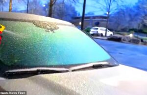 A tentativa do jornalista de TV de Atlanta de descongelar seu carro ao vivo dá errado