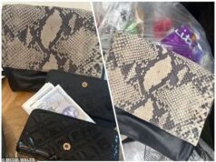 Um milagre de Natal tardio: mulher reunida com sua bolsa e £ 500 em dinheiro dentro… ela acidentalmente jogou fora junto com sua reciclagem