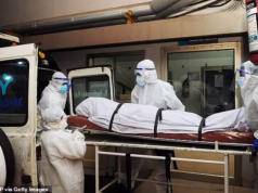 O chefe de saúde do Reino Unido emitiu novas orientações alertando sobre o mortal vírus Nipah – e dizendo aos turistas para “lavarem as frutas” devido ao risco de infecção.