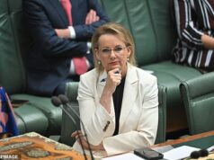 Aqui está o que os liberais estão dizendo sobre o futuro de Susan Ley à medida que aumenta a pressão sobre sua liderança após o colapso da Coalizão