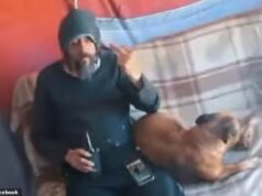 Visão estranha de cachorro dirigindo na praia – dono rasga sua carteira de motorista