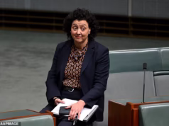 A deputada independente Monique Ryan fez uma sugestão verdadeiramente bizarra enquanto as ondas de calor devastam o sul da Austrália