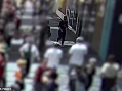 Surgiram imagens do momento arrepiante em que os manifestantes supostamente jogaram bombas caseiras na multidão em um comício do Dia do Ataque.