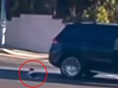 Vídeo de parar o coração mostra criança atirada do Mercedes SUV da mãe em um movimentado cruzamento de Los Angeles