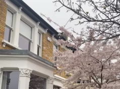 Com Londres eleita um dos melhores destinos do mundo, a equipe de viagens do Daily Mail revela atrações imperdíveis, joias escondidas e as melhores coisas para fazer na capital do Reino Unido.