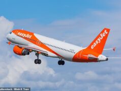 Anúncios da EasyJet banidos após fazerem ‘afirmações enganosas’ sobre preços de malas de cabine