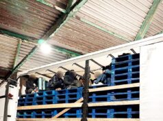 O taxista está entre as cinco pessoas presas pela NCA em uma operação de tráfico de pessoas