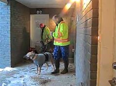 Proprietários cruéis de buldogues impediram que seus animais de estimação fossem atacados por duas mulheres e uma menina que os visitavam na casa ao lado.