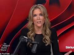 Megyn Kelly critica Alex Pretty por ‘perseguir, assediar e aterrorizar’ ICE depois que o vídeo mostra ele chutando a luz traseira de um SUV e cuspindo em agentes