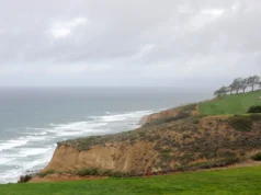 Onde abrir o seguro agrícola? O que saber sobre Torrey Pines