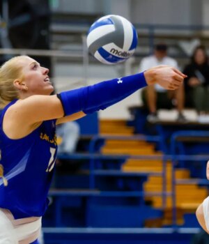 BNG-L-SJSUVB-1117-2.jpg